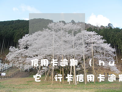 信用卡逾期會(huì)凍結(jié)其它銀行卡(信用卡逾期會(huì)凍結(jié)其它銀行卡的錢嗎)
