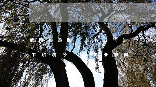 信用卡逾期會(huì)凍結(jié)名下的房子嗎 信用卡逾期會(huì)凍結(jié)名下的房子嗎能買嗎
