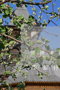 信用卡逾期會(huì)凍結(jié)名下銀行卡嘛 貸款逾期會(huì)凍結(jié)名下所有銀行卡嗎
