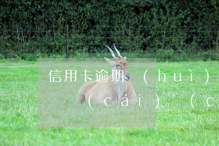 信用卡逾期會(huì)凍結(jié)家屬財(cái)產(chǎn)嗎 信用卡 逾期 凍結(jié)