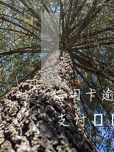 信用卡逾期會(huì)凍結(jié)我支付寶嗎(支付寶逾期了對(duì)信用卡有影響沒有)
