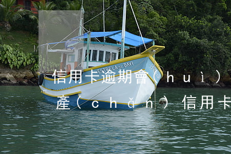 信用卡逾期會(huì)凍結(jié)房產(chǎn)(信用卡逾期會(huì)凍結(jié)房產(chǎn)嗎)