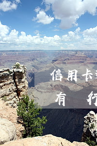 信用卡逾期會(huì)凍結(jié)所有銀行卡嗎(信用卡逾期會(huì)被凍結(jié)所有銀行卡嗎)