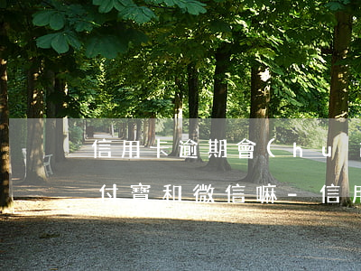 信用卡逾期會(huì)凍結(jié)支付寶和微信嘛-信用卡逾期會(huì)凍結(jié)支付寶和微信嘛