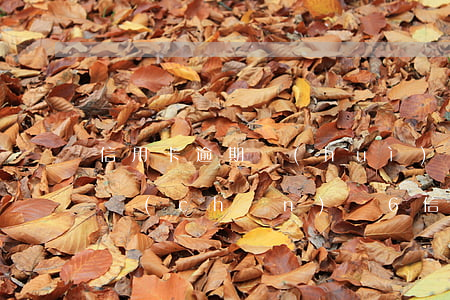信用卡逾期會(huì)凍結(jié)資產(chǎn)嗎6(信用卡逾期會(huì)凍結(jié)資產(chǎn)嗎6)