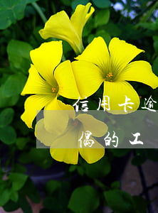 信用卡逾期會(huì)凍結(jié)配偶的工資卡嗎-信用卡逾期會(huì)凍結(jié)配偶的工資卡嗎