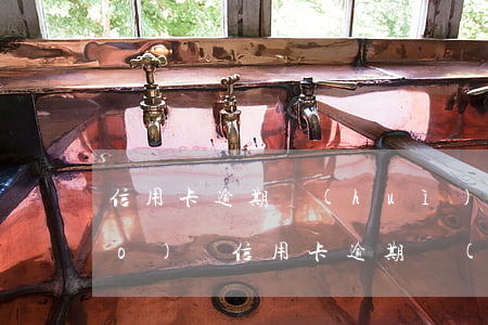 信用卡逾期會(huì)利率上調(diào)嗎(信用卡逾期會(huì)漲利息嗎)