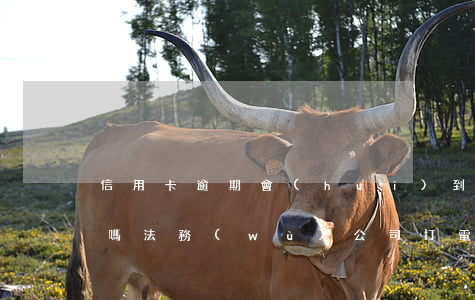 信用卡逾期會(huì)到法務(wù)處嗎 法務(wù)公司打電話(huà)信用卡逾期