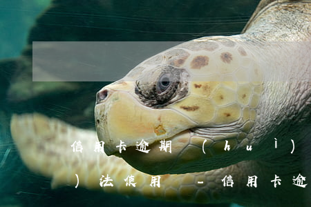 信用卡逾期會(huì)到賬花唄無(wú)法使用嗎-信用卡逾期會(huì)到賬花唄無(wú)法使用嗎怎么辦