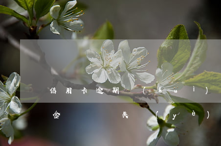 信用卡逾期會(huì)劃扣失業(yè)金賬戶嗎(失業(yè)金銀行有權(quán)劃扣嗎)