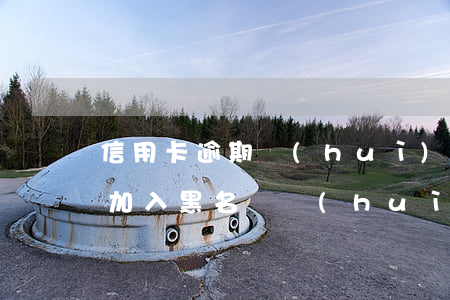 信用卡逾期會(huì)加入黑名單嗎(逾期加入黑名單會(huì)怎么樣)