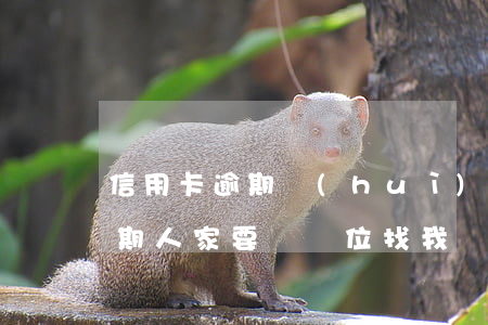 信用卡逾期會(huì)去單位么(信用卡逾期人家要來單位找我,會(huì)來嗎)