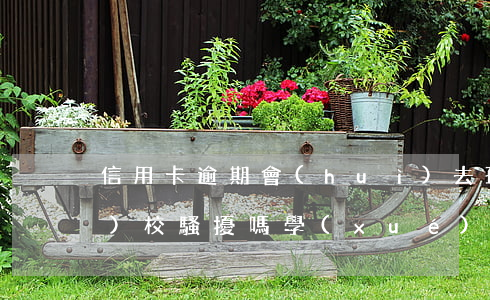 信用卡逾期會(huì)去孩子學(xué)校騷擾嗎(學(xué)校強(qiáng)迫學(xué)生辦信用卡)