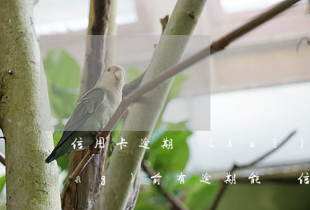 信用卡逾期會(huì)去工作嗎(當(dāng)前有逾期能辦信用卡嗎)