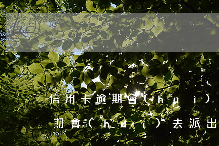 信用卡逾期會(huì)去派出所 信用卡逾期會(huì)去派出所備案嗎
