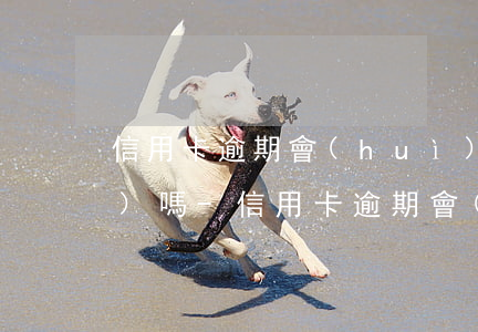 信用卡逾期會(huì)取不出來(lái)嗎-信用卡逾期會(huì)取不出來(lái)嗎