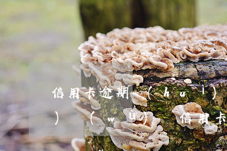信用卡逾期會(huì)取消分期業(yè)務(wù)嗎（信用卡逾期會(huì)取消分期）