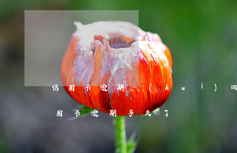信用卡逾期會(huì)回歸嗎-你們的信用卡逾期多久了