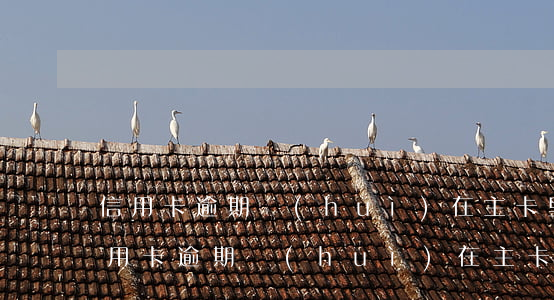 信用卡逾期會(huì)在主卡里扣錢嗎(信用卡逾期會(huì)在主卡里扣錢嗎怎么辦)