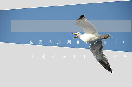 信用卡逾期會(huì)在本行儲(chǔ)蓄卡扣嗎(銀行卡逾期扣款)