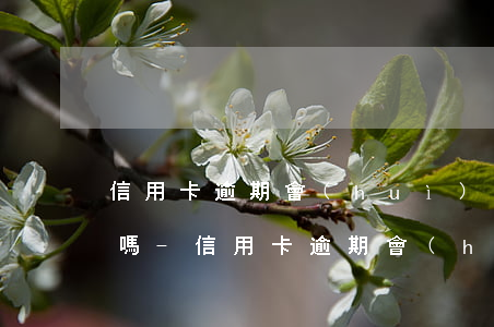 信用卡逾期會(huì)坐牢嗎有年齡限制嗎-信用卡逾期會(huì)坐牢嗎有年齡限制嗎怎么辦