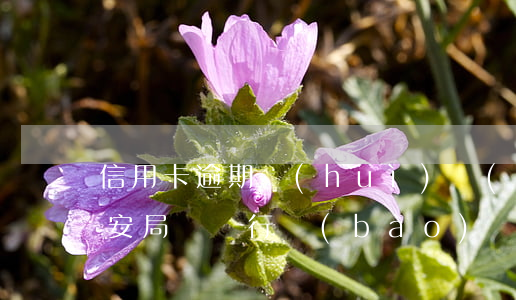 信用卡逾期會(huì)報(bào)送公安局嗎(銀行報(bào)備派出所信用卡逾期)