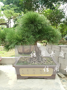 信用卡逾期會(huì)報(bào)通訊錄(信用卡逾期會(huì)報(bào)通訊錄嘛)
