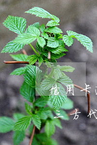 信用卡逾期會(huì)外包給第三方嗎(第三方代還信用卡犯法嗎)