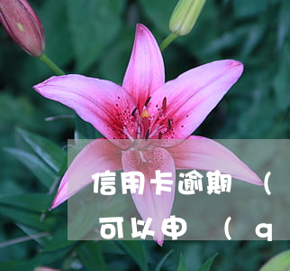 信用卡逾期會(huì)多加錢么-逾期了可以申請(qǐng)信用卡嗎