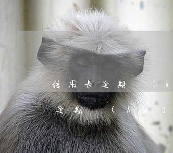 信用卡逾期會(huì)失去工作嗎(信用卡逾期會(huì)成為失信人員嗎)