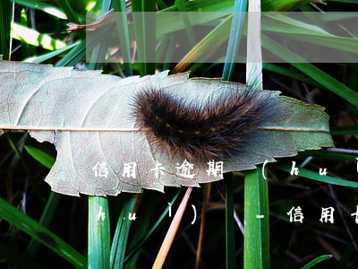 信用卡逾期會(huì)寄欠款到村委會(huì)嗎-信用卡逾期會(huì)寄欠款到村委會(huì)嗎怎么辦