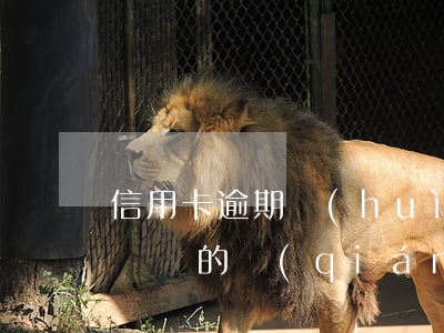 信用卡逾期會(huì)封了醫(yī)保賬戶的錢(qián)嗎-信用卡逾期會(huì)封了醫(yī)保賬戶的錢(qián)嗎怎么辦