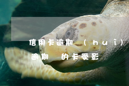 信用卡逾期會(huì)封別的卡嗎(信用卡逾期別的卡受影響嗎)