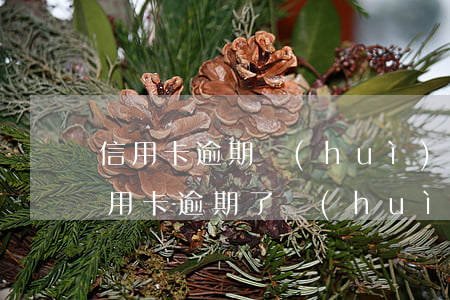 信用卡逾期會(huì)封家人房子嗎(我信用卡逾期了會(huì)不會(huì)影響家人)