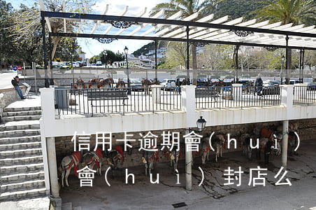 信用卡逾期會(huì)封店么(信用卡逾期會(huì)封店么)
