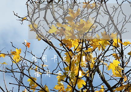 信用卡逾期會(huì)封護(hù)照嗎(信用卡有過(guò)逾期對(duì)辦護(hù)照有影響嗎)
