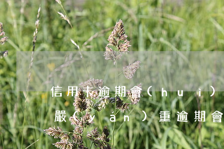 信用卡逾期會(huì)封銀行卡嗎(信用卡嚴(yán)重逾期會(huì)封房子嗎)