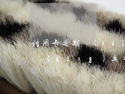 信用卡逾期會(huì)對(duì)孩子當(dāng)兵有影響嗎-信用卡逾期會(huì)對(duì)孩子當(dāng)兵有影響嗎知乎