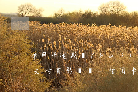 信用卡逾期會(huì)對(duì)微信支付有影響嗎-信用卡逾期會(huì)對(duì)微信支付有影響嗎知乎