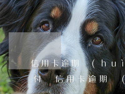信用卡逾期會(huì)導(dǎo)致支付寶(信用卡逾期會(huì)導(dǎo)致支付寶的借唄發(fā)唄嗎)
