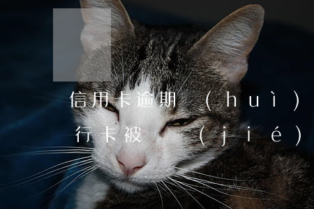 信用卡逾期會(huì)導(dǎo)致銀行卡被凍結(jié)嗎 信用卡 逾期 凍結(jié)