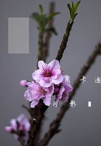 信用卡逾期會(huì)帶來(lái)哪些影響(什么情況下信用卡會(huì)被認(rèn)為嚴(yán)重逾期)