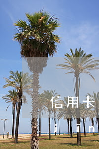 信用卡逾期會(huì)并案(信用卡 曾經(jīng)有逾期 影響)