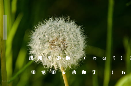 信用卡逾期會(huì)影響下一代么(老人用信用卡逾期了會(huì)影響下一代嗎)