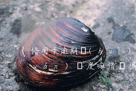 信用卡逾期會(huì)影響借唄循環(huán)額度嘛(借唄循環(huán)貸會(huì)影響信用嗎)