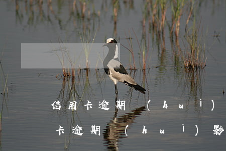 信用卡逾期會(huì)影響做生意嗎(信用卡逾期會(huì)影響做生意嗎)