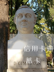 信用卡逾期會(huì)影響儲(chǔ)蓄卡轉(zhuǎn)賬嘛-銀行卡到期影響轉(zhuǎn)賬嗎