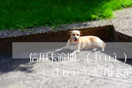 信用卡逾期會(huì)影響共債者嗎(逾期對(duì)信用卡的影響)