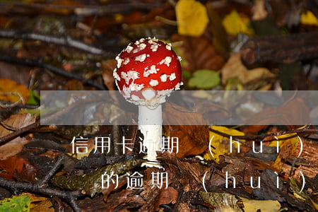 信用卡逾期會(huì)影響其它信用卡嗎(別的逾期會(huì)影響信用卡嗎)