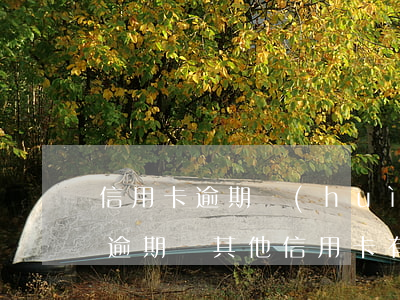 信用卡逾期會(huì)影響別的信用卡么 逾期對其他信用卡有影響嗎